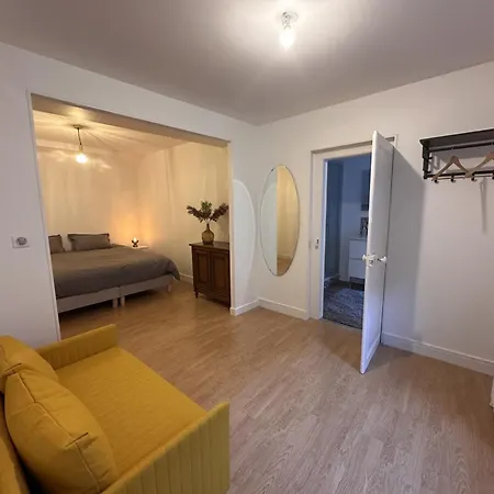 شقة Moderne En Centre-ville De Pour 4 Personnes Avec Wifi - Fr-1-489-570