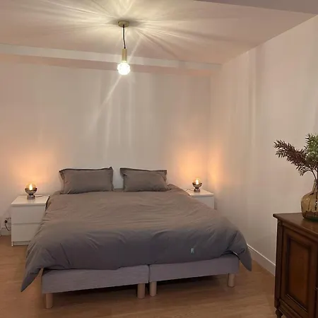 شقة Moderne En Centre-ville De Pour 4 Personnes Avec Wifi - Fr-1-489-570 *